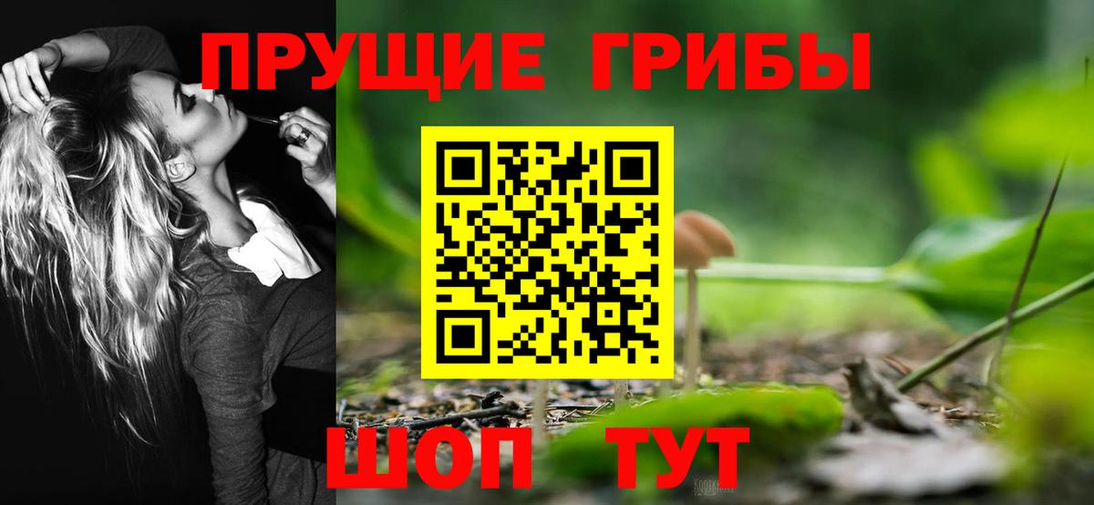 Иваново  Галлюциногенные грибы MAGIC MUSHROOMS  Псилоцибиновые грибы MAGIC MUSHROOMS  как найти   Вход с VPN 